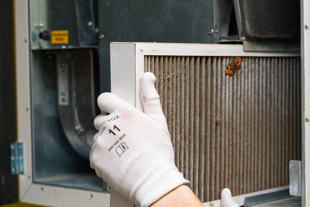 Best Affordable Duct Cleaning Services  in Alderson, WV