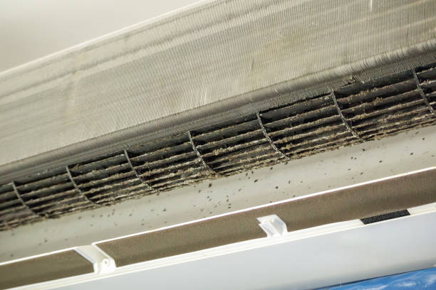 Best Home Air Vent Cleaning  in Alderson, WV