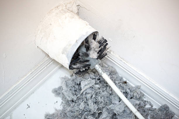 Best Dryer Vent Cleaning Services  in Alderson, WV